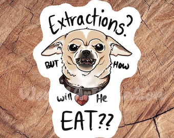 Extractions?? Sticker, Waterproof Sticker, Laminated Sticker, Vet Med Gift, Funny Vet Med Stickers, Vet Med Car Decal, Lab Tech Gift, RVT