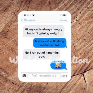 May include: A screenshot of a text conversation on a mobile phone. The text reads: "Hi, my cat is always hungry but isn't gaining weight. Is your cat still taking methimazole? No, I ran out of it months ago."