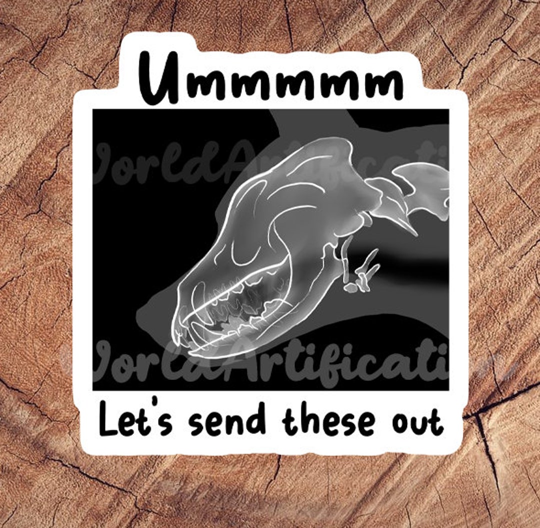 Skull Radiograph Sticker, Waterproof Sticker, Laminated Sticker, Vet ...