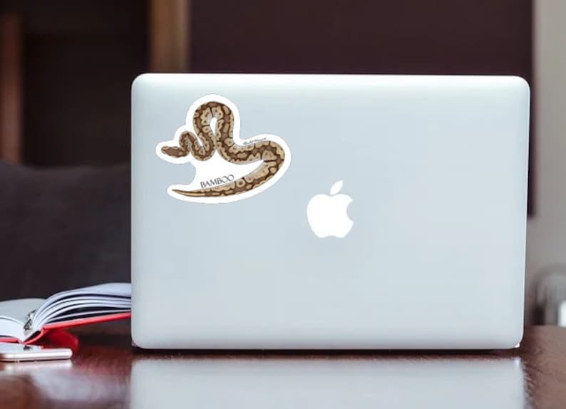 Pu&ograve; includere: Un adesivo con un serpente marrone e bianco con la parola "BAMBOO" stampata sotto. L'adesivo &egrave; su un laptop bianco.