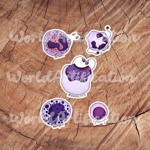 White Blood Cell Stickers, Set of 5, Waterproof Stickers, Laminated Stickers, Vet Med Gifts, Cytology Gifts