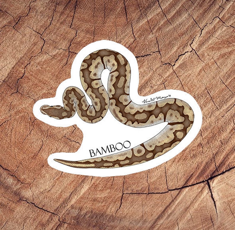 Pu&ograve; includere: Un adesivo bianco con un'illustrazione di un serpente marrone e beige. Il serpente &egrave; arrotolato in un cerchio con la testa rivolta a sinistra. Il testo "BAMBOO" &egrave; stampato sotto il serpente.