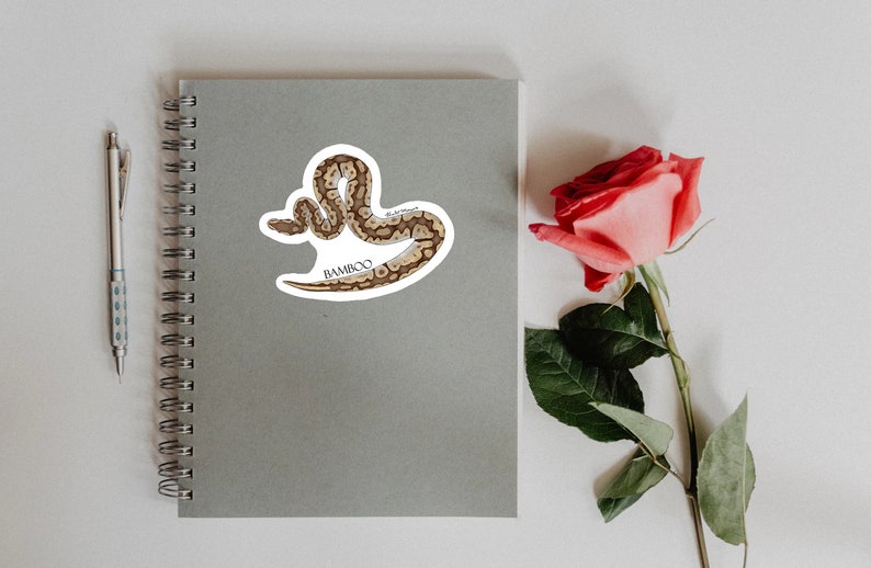 Pu&ograve; includere: Un adesivo bianco con un'illustrazione di un serpente marrone e bianco. Il serpente &egrave; arrotolato e il testo "BAMBOO" &egrave; stampato sotto.