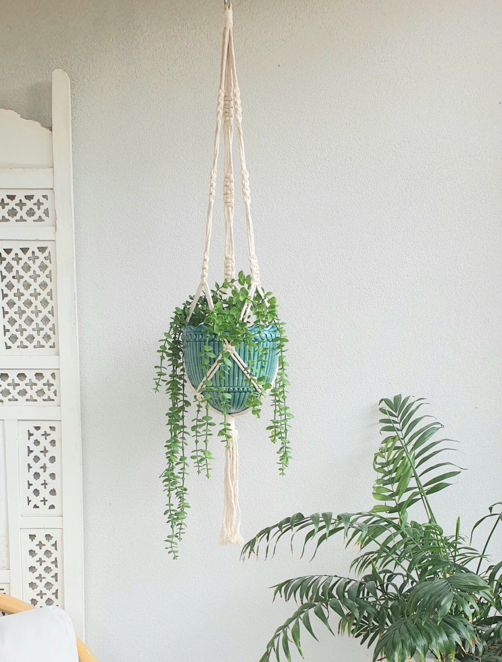Single Macrame Plant Hanger Kit Etsy UK