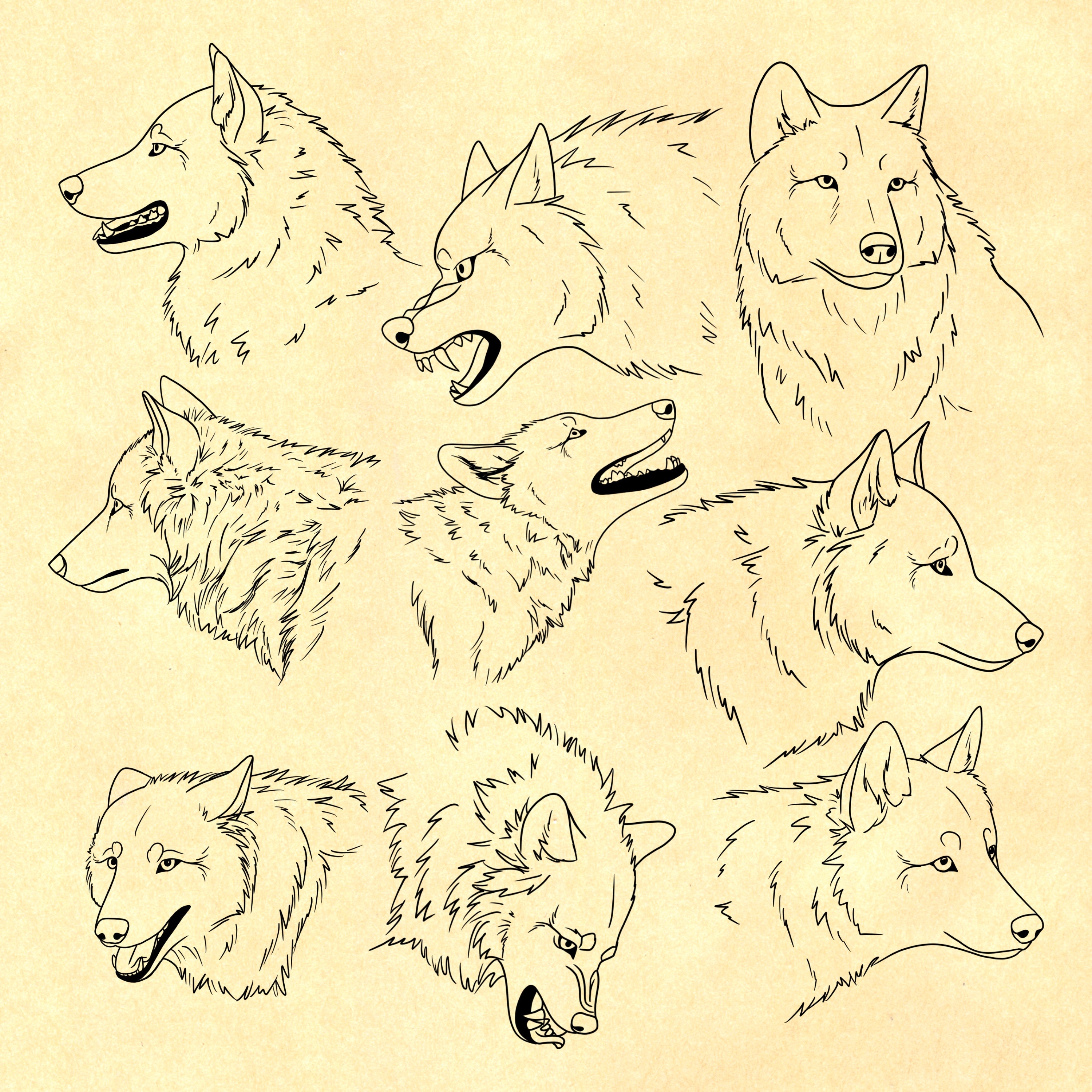 35 Wolf Reference Stamps for Procreate Dynamic Wolf Procreate Etsy