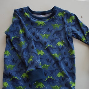 Long sleeve dinosaur shirt image 4