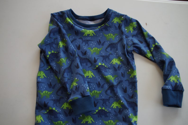 Long sleeve dinosaur shirt image 4