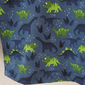 Long sleeve dinosaur shirt image 5