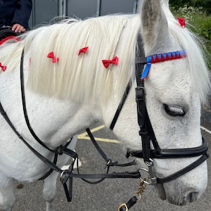 Puede incluir: Un caballo blanco con brida negra y detalles rojos y azules. La crin del caballo está adornada con pequeños lazos rojos. El caballo lleva una brida negra con una testera roja y azul.
