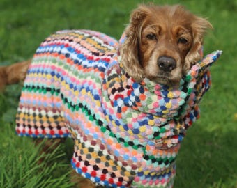 Colorful Dog Bathrobe, Personalized Hooded Dog Drying Coat, Thick Cotton Terry Towel Robe, Rainbow Dog Pajamas, Dog Mom Gift