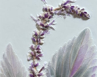 Purple Salvia Plaster Wall Decor, Hand Painted Botanical Bas Relief, Floral Imprint Casting Sculpture, Bespoke Decorative Ceramic Tile