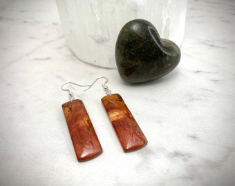 Rare Red Creek Jasper Earrings, Women’s Jewelry, Gemstone Jewelry, Women’s Earrings, Semi-Precious Stone Jewelry, Dangle Earrings, Silver