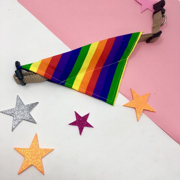 Pride Dog bandana, rainbow pet accessory, dog gift, lgbtq pride, badass dog bandanna, akt charity