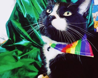 May include: A black and white tuxedo cat wearing a triangular pet bandana featuring a vibrant rainbow stripe pattern. The cat has bright yellow-green eyes, long white whiskers, and a small black bell attached to a thin collar around its neck.