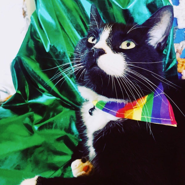 Pride cat bandana, rainbow cat scarf, slides over collar, crazy cat lady, akt donation