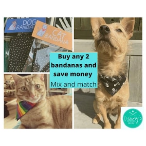 Any 2 small dog or cat bandanas for 6 pounds, save, pet accessory, pet gift, dog fashion, cat fashion, bargain, deal,