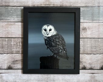 Barn Owl. Original painting. Acrylic on board. Framed 29.5cm x 34.5cm