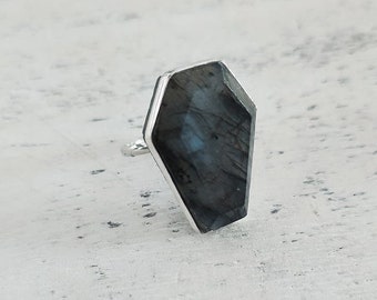 Gothic coffin shaped ring-statement ring-gothic jewelry-adjustable ring