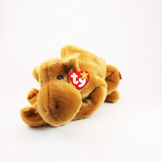 humphrey the camel ty