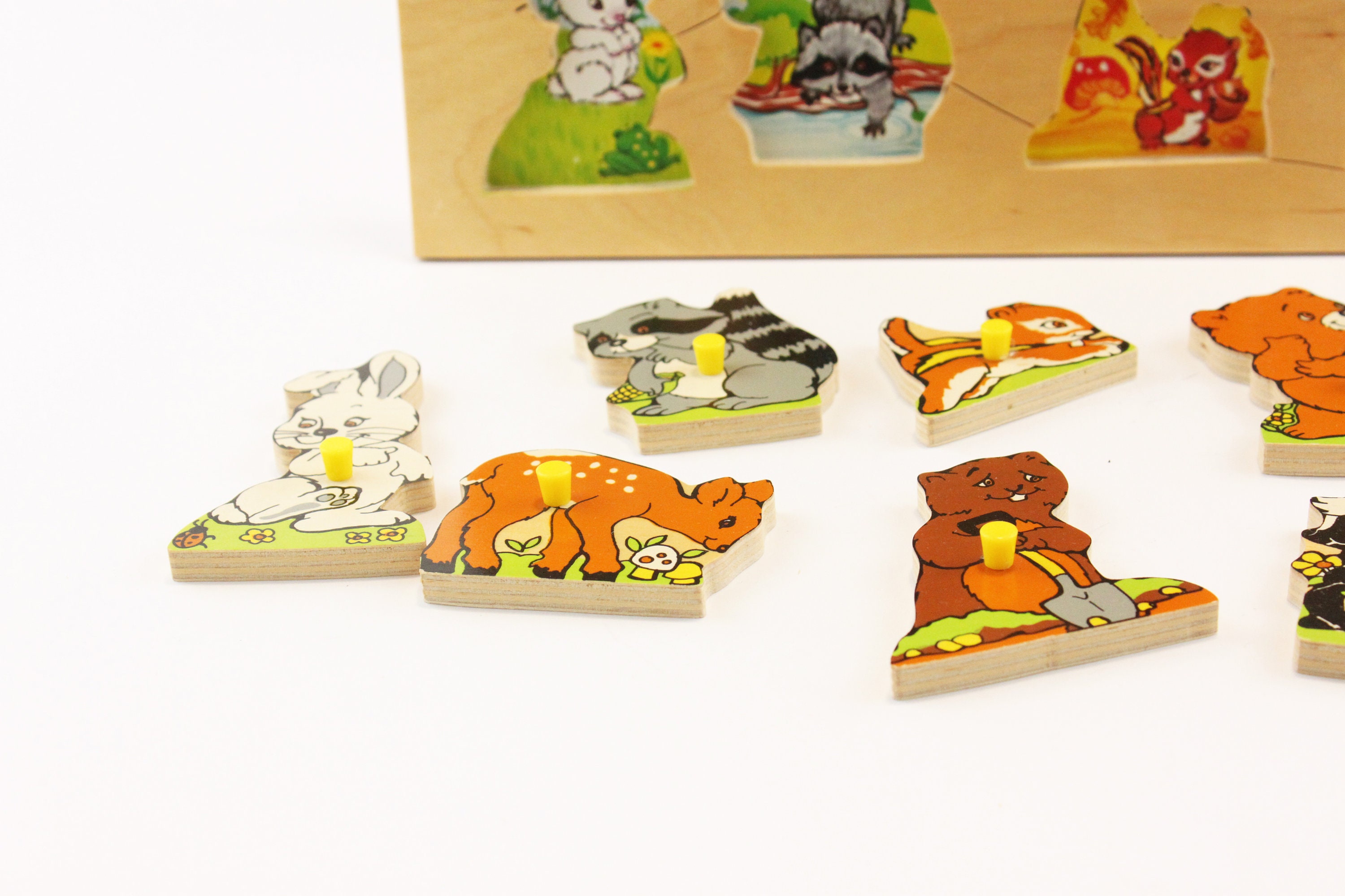 Fisher-Price BFH80 Animal Lovers Play Dice