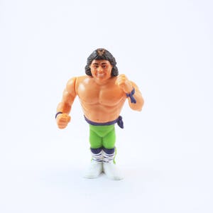 May include: A plastic action figure of a wrestler with brown hair, a green and purple outfit, and a determined expression.
