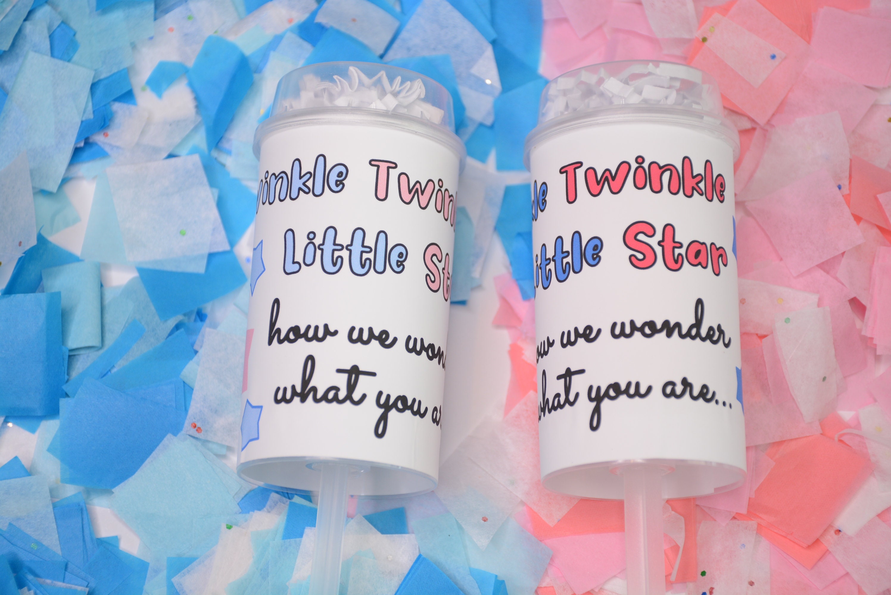 Twinkle Twinkle Little Star How I Wonder What You Are Gender Reveal What Will You Be Boy or Girl Confetti Popper Pink or Blue