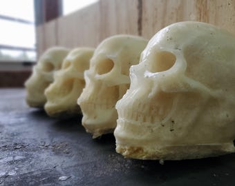 Cast resin foam filled realistic human skull for crafting, decorating, prop building
