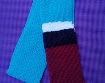 Aqua with Berry Stripes Scarf