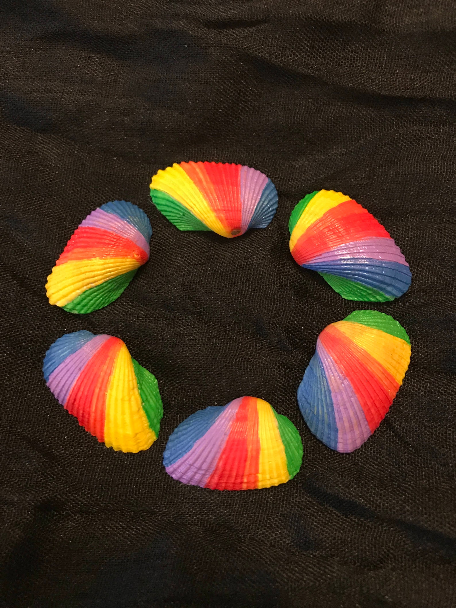 Painted Shells 1.25 Rainbow Set of 6 Etsy