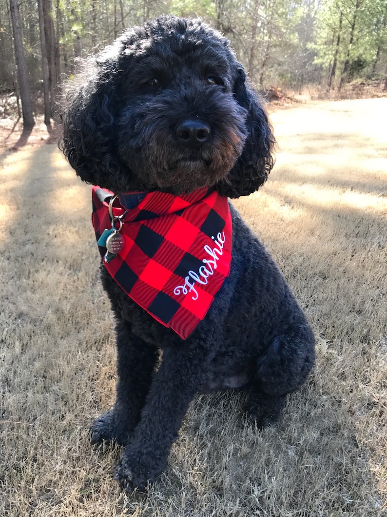 Monogrammed Dog Bandana Red Black Buffalo Plaid Bandana Etsy