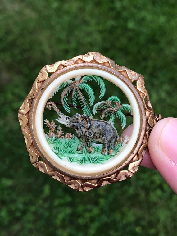 Celluloid brooch best sale