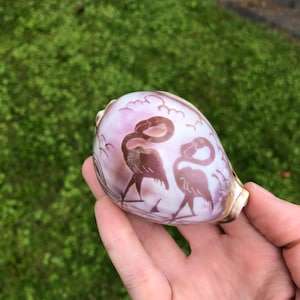 May include: A pink seashell with a carved design of two pink flamingos. The shell has a smooth, glossy finish.