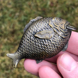 May include: A bronze-toned fish-shaped trinket box with detailed scale texture. The fish has fins, a tail, and a small ring attached near its mouth. The box is held in a hand against a blurred green background.