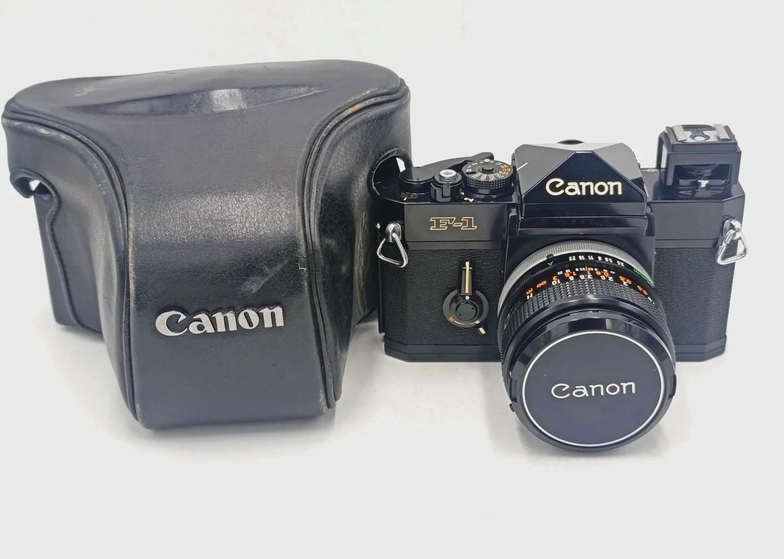 Canon F-1 A-1レンズ アルミケースセット 楽天市場】【ふるさと納税】キヤノン ミラーレスカメラ EOS R8