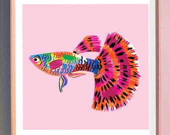 Pink Guppy Fish