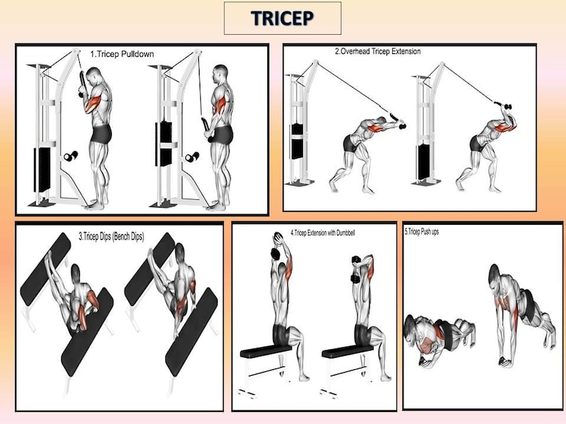 Bodybuilding Workout Plan Equipment Demo fitness Motivation 32 Images Bodybuilding Workout Plan Equipment Demo fitness Motivation 32 Images