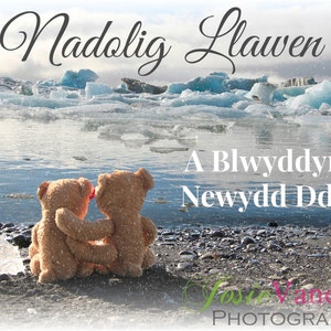 Nadolig Llawen A Blwyddyn Newydd Dda, mignons gallois au pays de Galles nounours de carte de voeux Noël étreindre dans le lagon de Jokulsarlon neige Islande