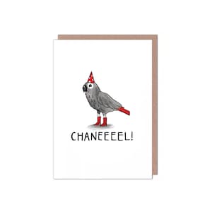 Chanel - Pappagallo cenerino africano - Regina del canale - Biglietto di auguri divertente per compleanno/anniversario/amicizia