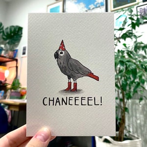 Chanel - Loro gris africano - Reina del canal - Postal divertida con meme de cumpleaños/aniversario/amistad, tamaño A6