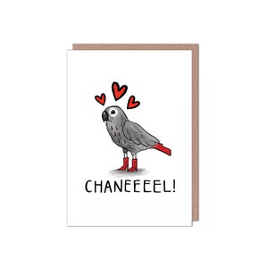 Chanel - Afrikaanse grijze papegaai - koningin van het liefdeskanaal - grappige memekaart Valentijnsdag/verjaardag/vriendschap