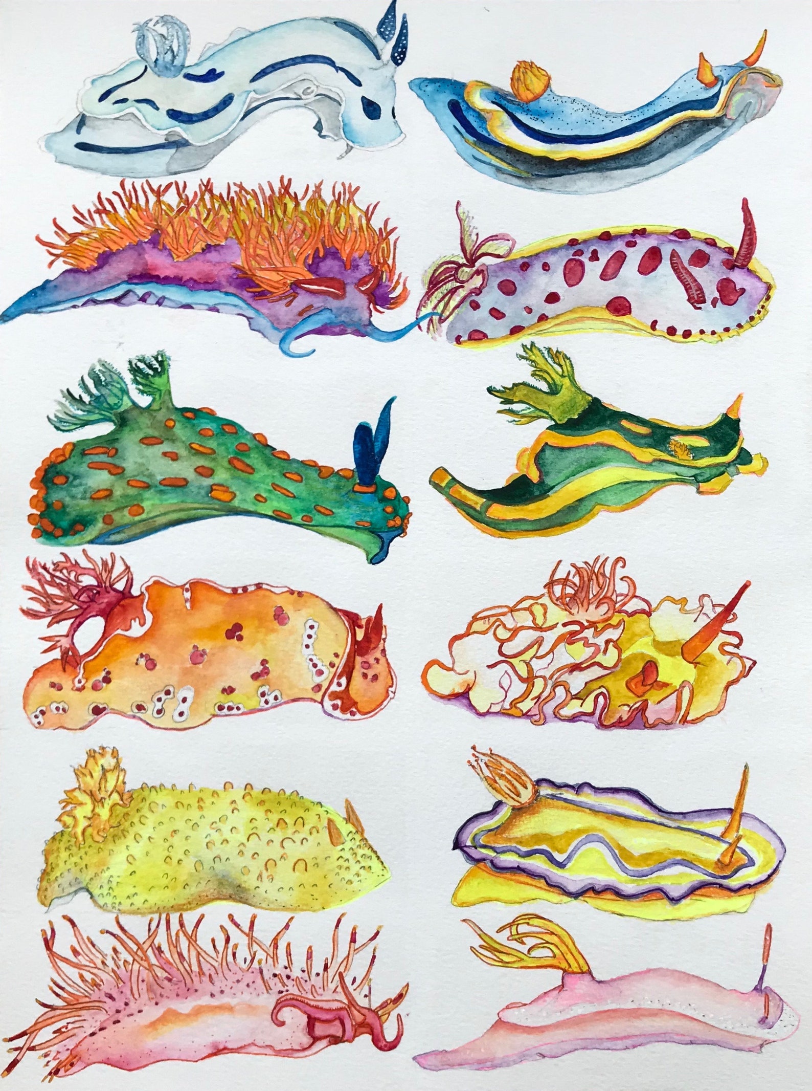 Nudibranchs Etsy