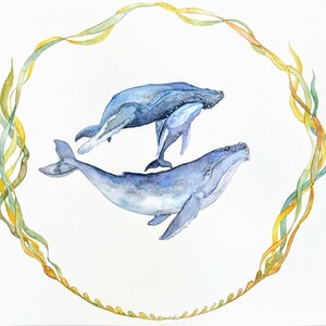 Humpback Whale Family