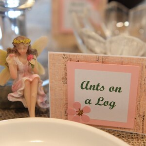 May include: A pink and brown card with a pink frame and a white inner frame. The text "Ants on a Log" is written in green letters. A pink flower is in the corner of the frame. A small fairy figurine is in the background.