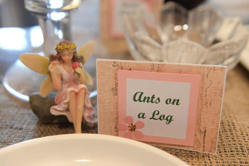 May include: A pink and brown card with a pink frame and a white inner frame. The text "Ants on a Log" is written in green letters. A pink flower is in the corner of the frame. A small fairy figurine is in the background.