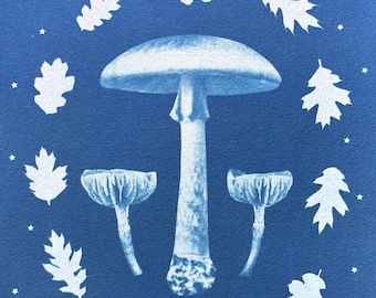 ORIGINAL Cyanotype SUN Print FUNGI Mushroom Nature Print Oak Woodlands Forest 7x10" Unframed One of A Kind Artwork