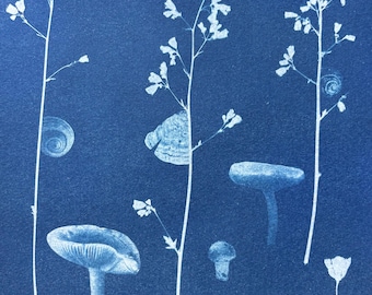 ORIGINAL Cyanotype SUN Print FUNGI Mushroom Nature Print Hummingbird and Snails 7x10" Unframed One of A Kind Artwork