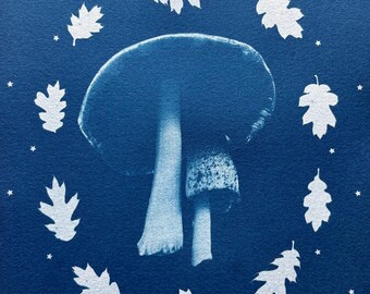 ORIGINAL Cyanotype SUN Print FUNGI Mushroom Nature Print Oak Woodlands Forest 7x10" Unframed One of A Kind Artwork