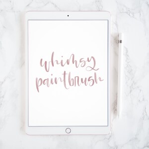 Whimsy Paintbrush Procreate Brush