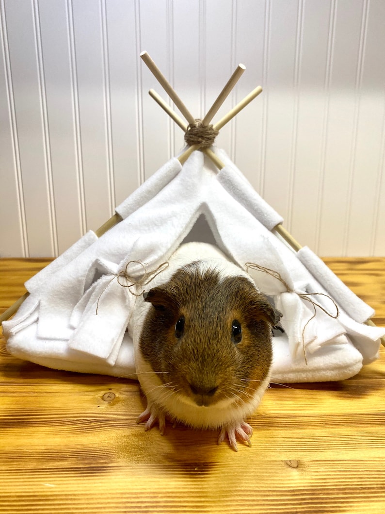 Guinea Pig Teepee Bed White Teepee Guinea Pig Toy Fleece Etsy
