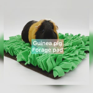May include: A green guinea pig forage pad with a guinea pig eating from it. The pad is made of soft fabric and has a textured surface. The guinea pig is brown, black, and white.